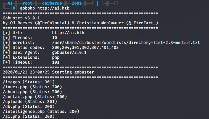 gobuster results